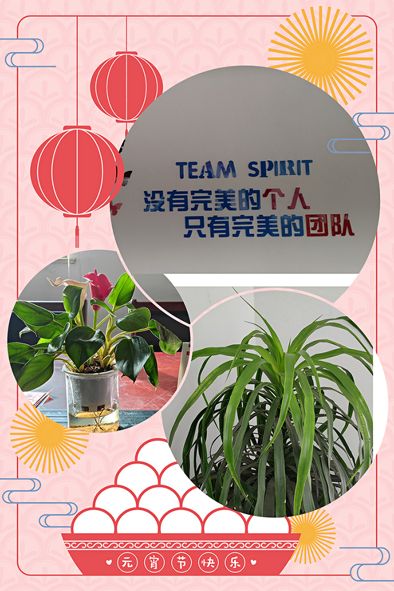 1644887956337228.jpg 2.28.jpg